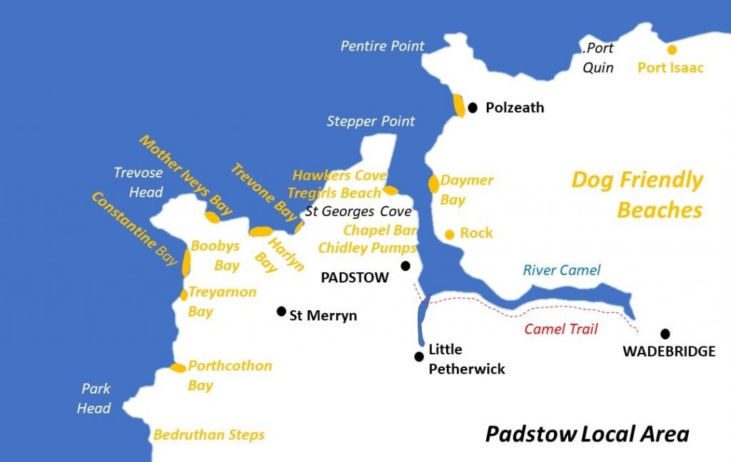 dog-friendly-days-out-in-padstow