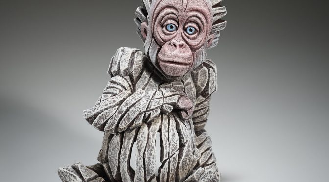 Alba – new white baby orangutan from edge Sculpture