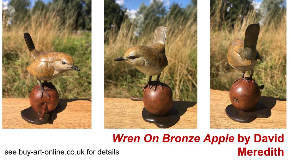 wren-on-bronze-apple-by-david-meredith