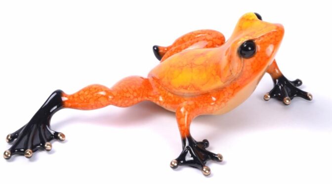 A very special bronze frog has just been released