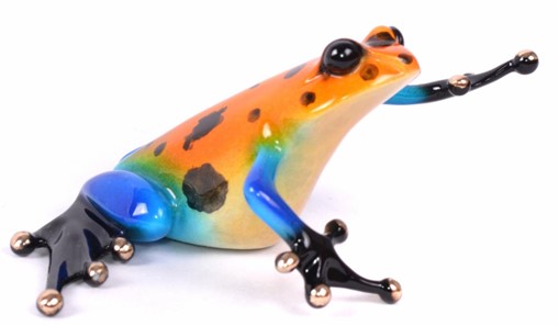 A very vibrant and colourful bronze frog